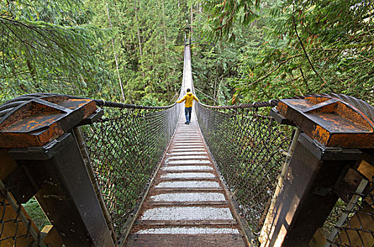远足者,吊桥,北温哥华,不列颠哥伦比亚省,加拿大