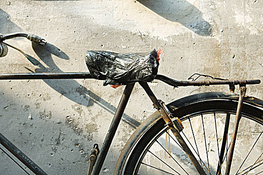 自行车,塑料袋,遮盖,座椅,局部,风景
