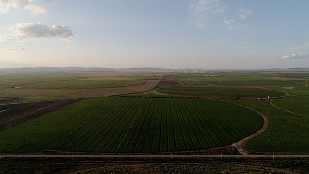 河北省张家口市塞北管理区使用指针式喷灌设备浇灌的农田
