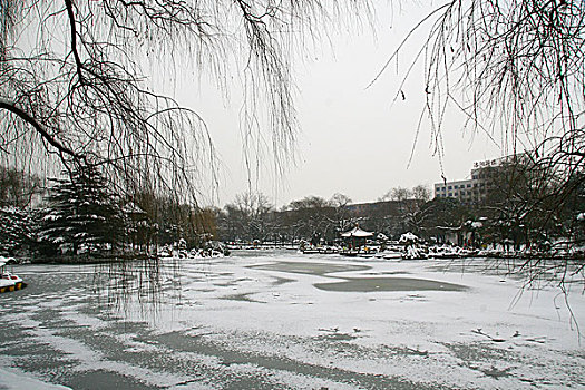 雪景