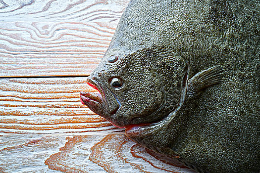 大菱鲆,鱼肉,侧面视角,白色背景,木桌子