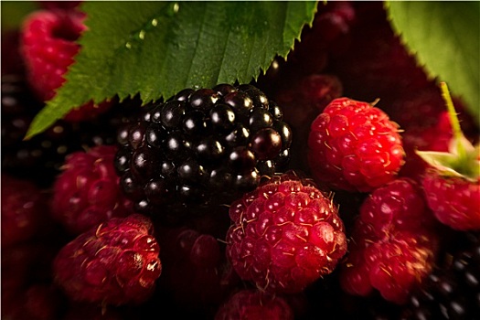 树莓,黑莓,微距