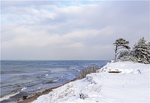 冬天,阴天,天气,波罗的海,海岸