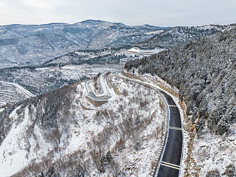 济南彩西路雪景雾凇