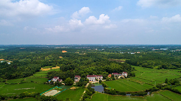 航拍夏日乡村