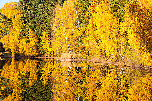 秋天,水塘,捷克共和国