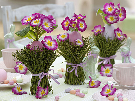 复活节餐桌,装饰,粉色,樱草花,蓝莓,枝条