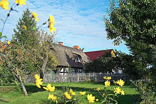 风景,茅草屋顶,房子,乌瑟多姆岛,梅克伦堡州