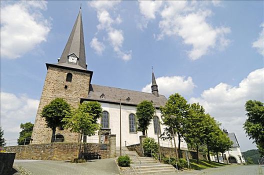 教堂,森林,树林,藻厄兰,北莱茵威斯特伐利亚,德国,欧洲