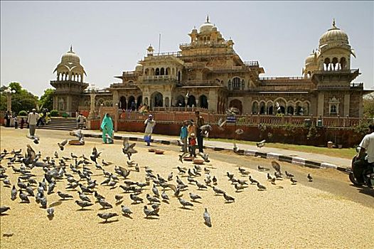 人,鸽子,户外,博物馆,斋浦尔,拉贾斯坦邦,印度