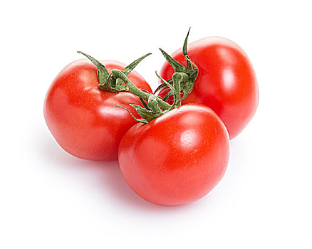 新鲜,西红柿,枝条,隔绝,白色背景