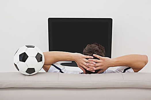 足球,球迷,看电视