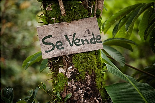 木质,标识,房地产,出售,哥斯达黎加