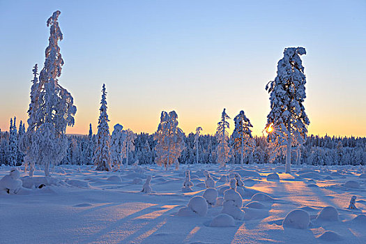 库萨莫,北方,省,芬兰