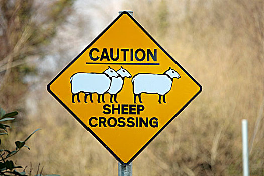 警告标识,绵羊,威克洛郡,爱尔兰,欧洲