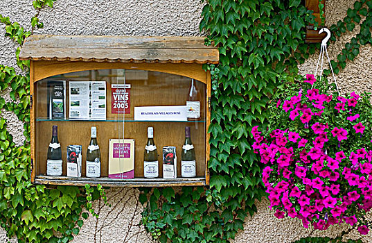 展示,花,博若莱葡萄酒,酒乡,罗纳河谷,法国