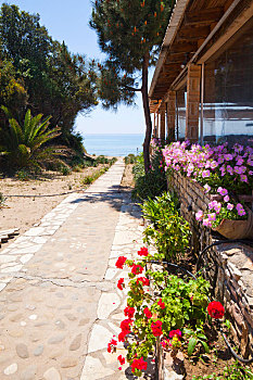 小路,海滩,旅游,餐馆,希腊