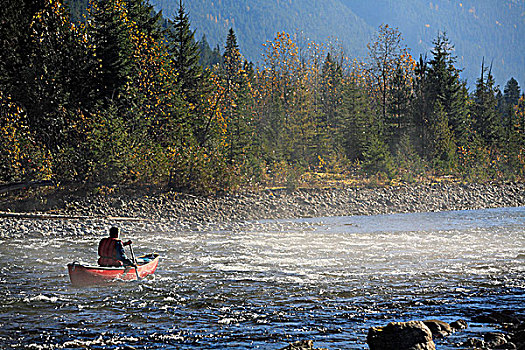 老头,独木舟,河,不列颠哥伦比亚省,加拿大