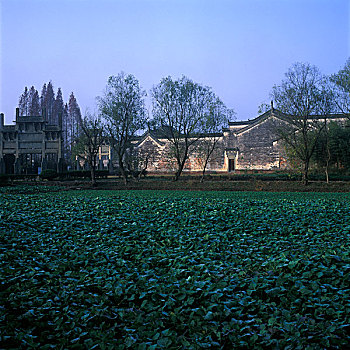 棠樾牌坊群建筑和田园