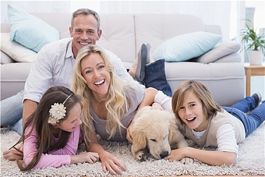 家庭,宠物,黄色拉布拉多犬,地毯