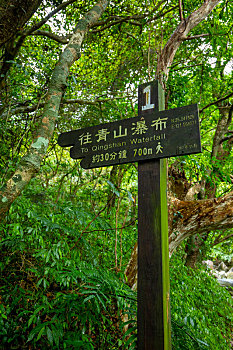 森林步道内设置的路标指示牌