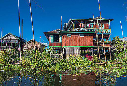 缅甸,掸邦,区域,茵莱湖,木屋,中间,漂浮,花园