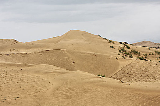青海沙漠