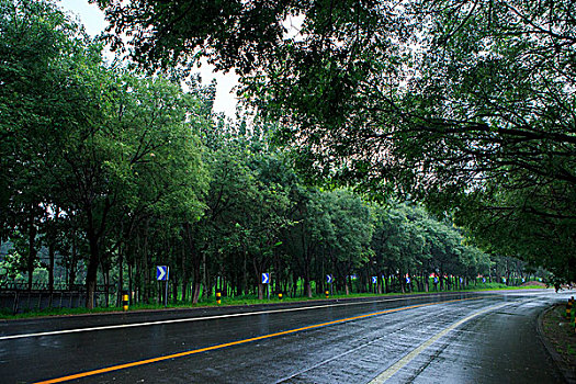 北京永定河左堤路,雨后路面