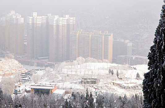 雪景