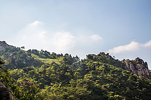 青岛浮山