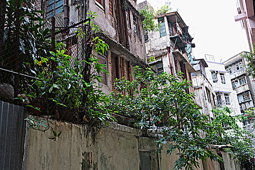 老,住宅,翼,街道,中心,香港