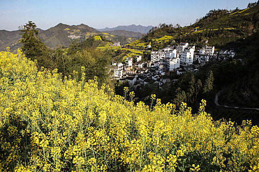 石潭村,安徽,古村落,住宅,建筑,历史,文化,居民,痕迹,村庄,老街