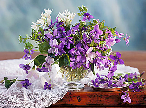 春天,花,紫罗兰,可爱,熊葱