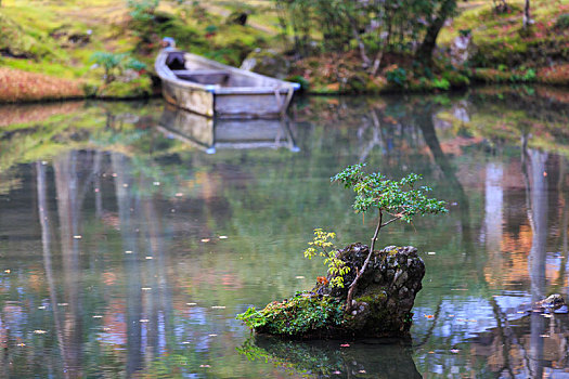 日本,京都,园林景观,苔藓,地和,池塘
