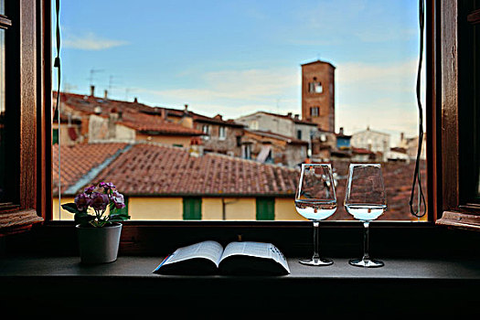 窗户,风景,花,容器,书本,葡萄酒,古建筑,背景,卢卡,意大利