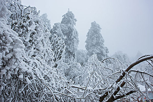 峨眉山雪景