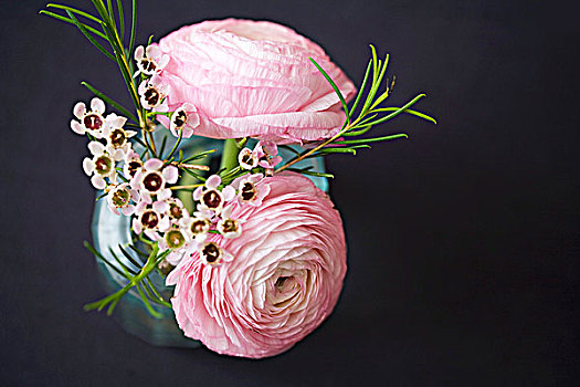 春之花束,粉色,毛茛,花瓶
