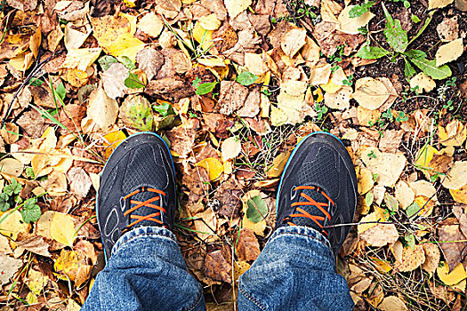 男性,脚,运动鞋,站立,黄色,落下,叶子,秋天,公园