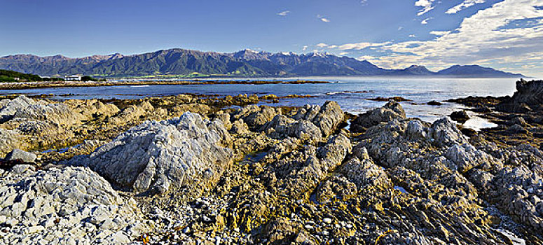 岩石构造,半岛,山,坎特伯雷,南岛,新西兰