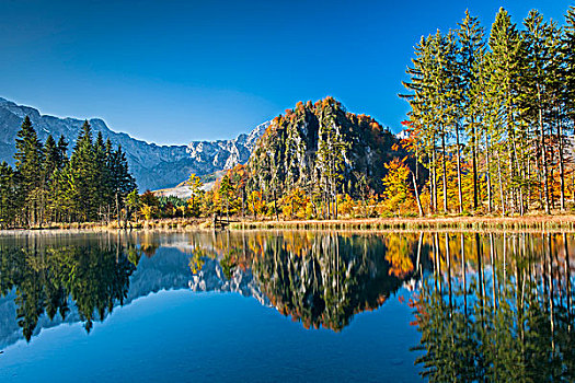 湖,树,反射,秋天,山,萨尔茨卡莫古特,上奥地利州,奥地利,欧洲