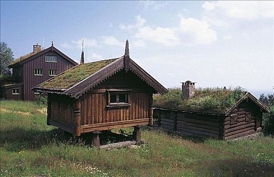 房子,草,遮盖,屋顶,建筑,奥斯陆,挪威,斯堪的纳维亚,欧洲