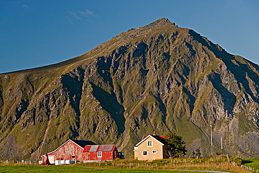 山峦,绿色,草地,房子,靠近,岛屿,罗弗敦群岛,群岛,诺尔兰郡,挪威,欧洲