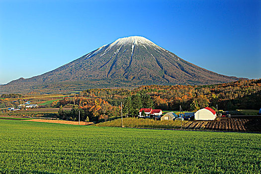 山,乡村,早晨