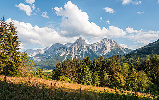 草地,背影,山景,靠近,埃尔瓦尔德,提洛尔,阿尔卑斯山,奥地利,欧洲