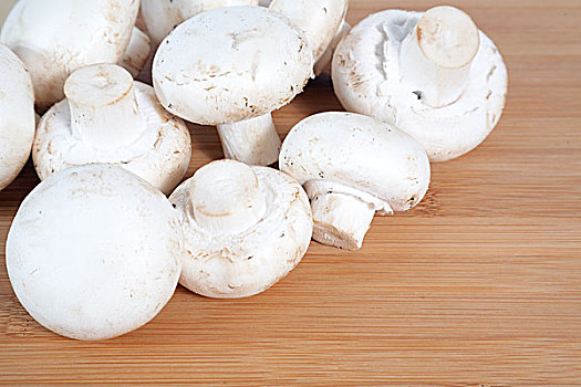 洋蘑菇,木板