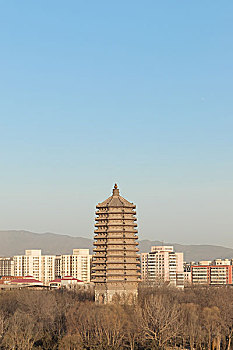 北京慈寿寺塔全景