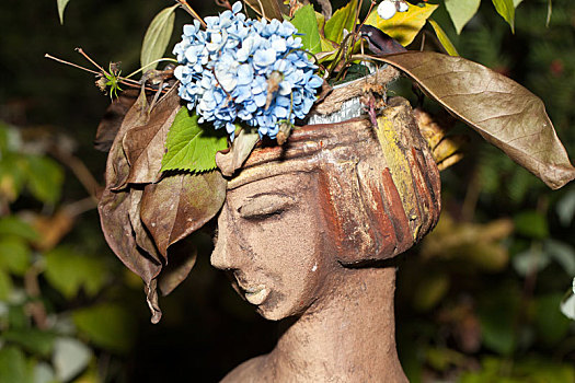 花盆,女性,头部