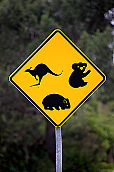 警告标识,树袋熊,袋鼠,维多利亚,澳大利亚,大洋洲