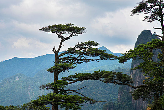 人间仙境,天南第一峰,湖南郴州市宜章县蟒山五指峰