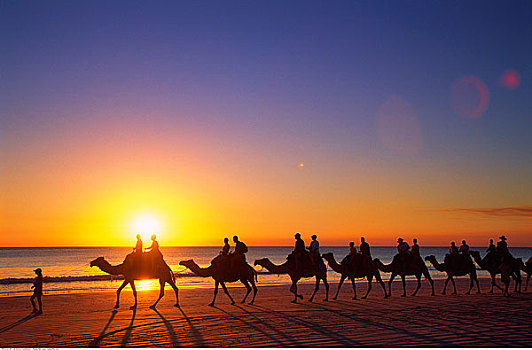 骆驼,骑手,凯布尔海滩,西澳大利亚,澳大利亚